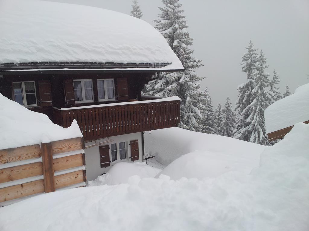Chalet Grazia Ридеральп Экстерьер фото